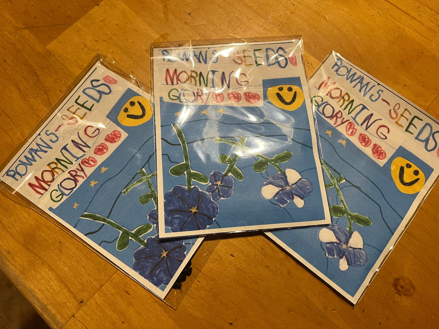 Rowan's Morning Glory Seeds